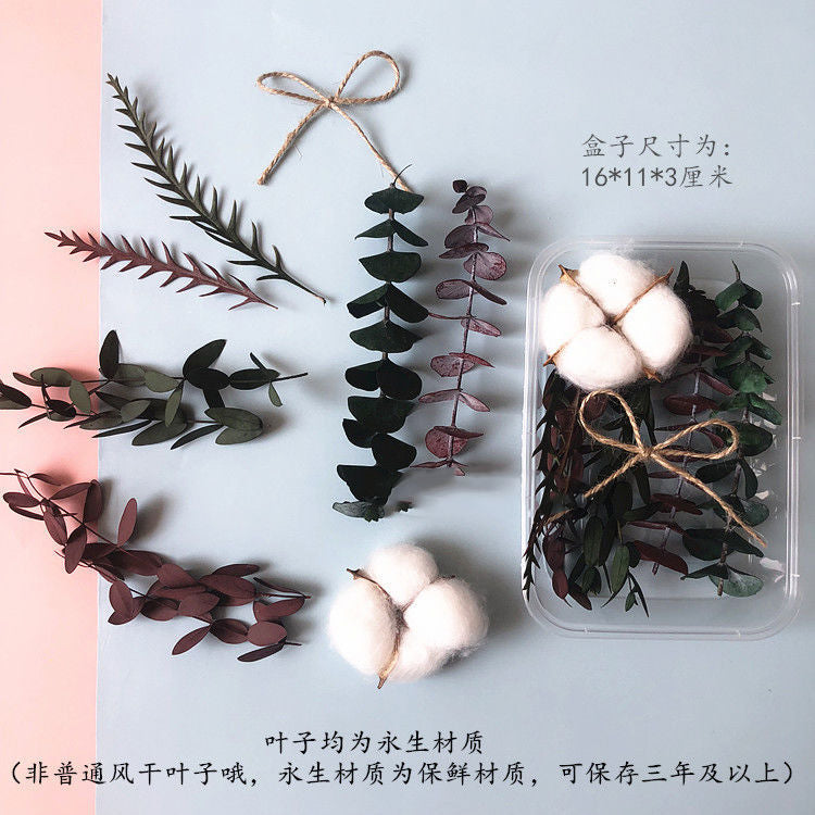 Wholesale Eternal Flower Baby's Breath Daisy Dried Flower Floating Flower Pressed Flower Kindergarten Handmade Flower Art Diy Filling Material